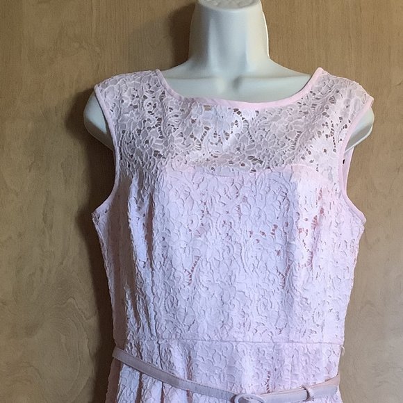 White House Black Market Dresses & Skirts - White House Black Market Pink Tulip Dress  Size: 8P  **NEW WITH TAGS**